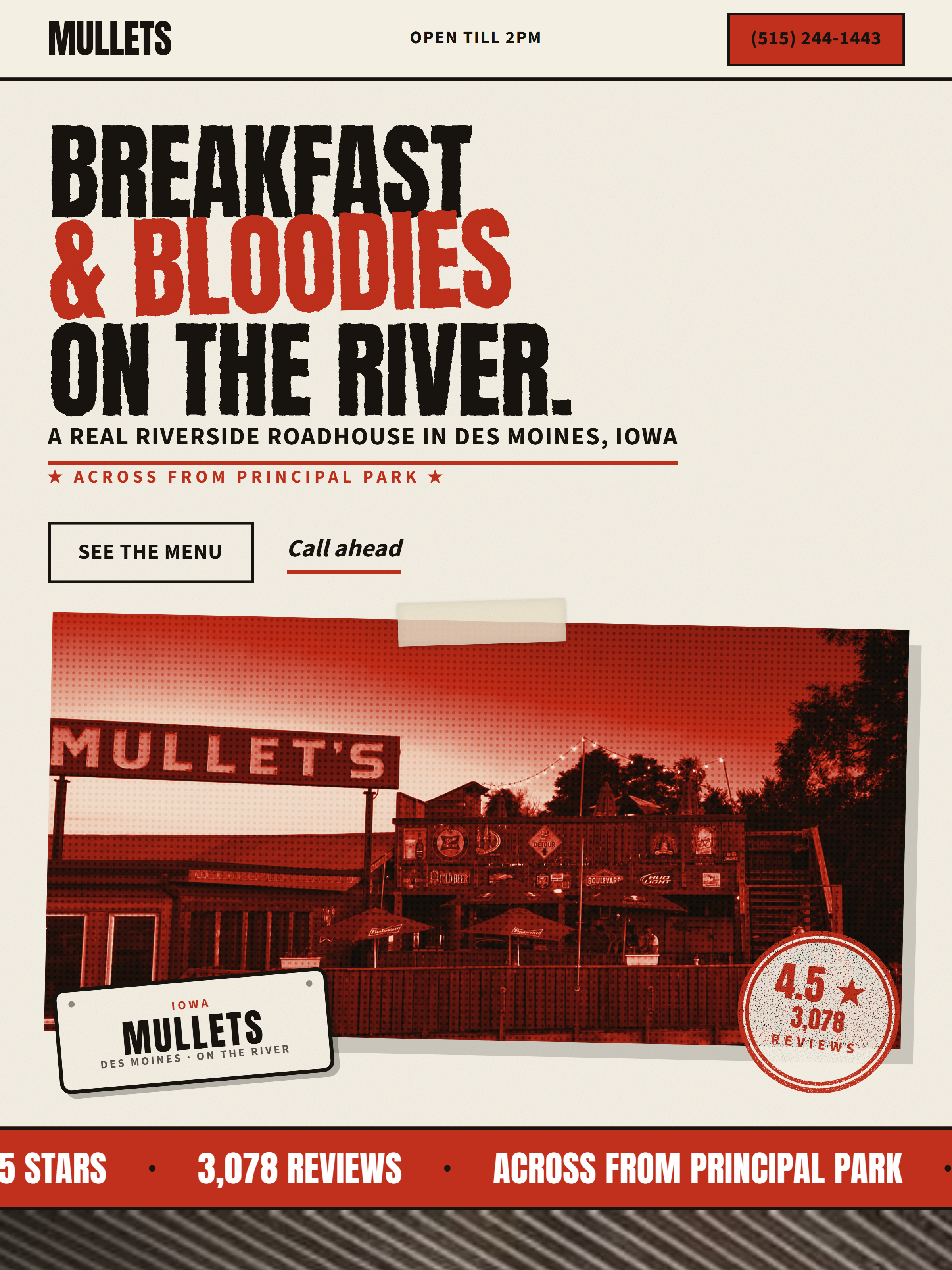 Concept website preview for Mullets